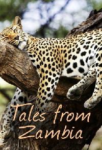 Tales From Zambia